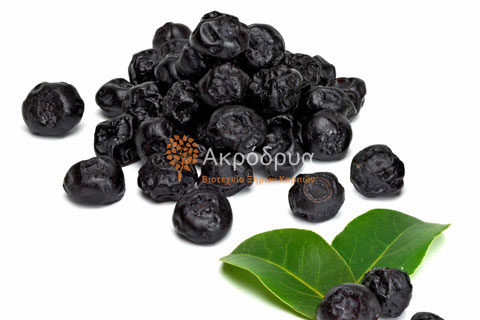 Blueberries Αμερικής